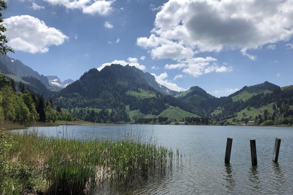 Schwarzseer See (Lac De Schwarzsee) And Lake Trail