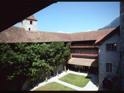 A view of a stone castle courtyard with a tiled roof, a small tower, green trees, and a grassy lawn under a blue sky.