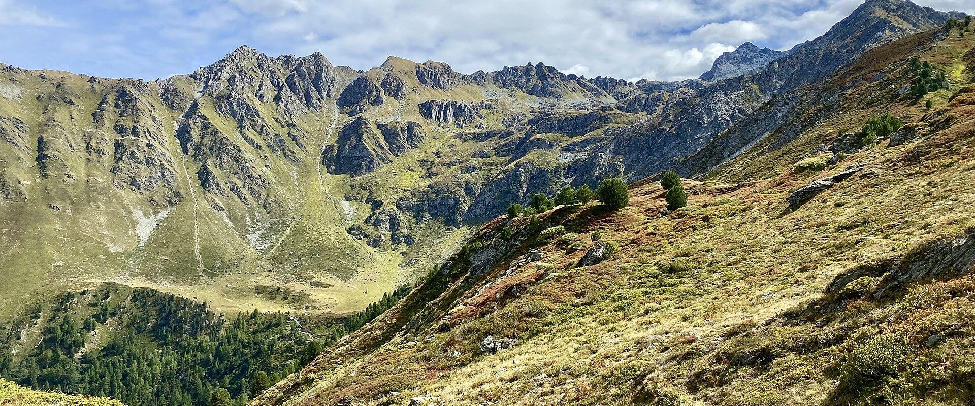 Alpine meadows of the Vallon d'Arbi near Verbier
