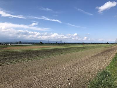 A wide landscape view of flat, cultivated agricultural fields under a blue sky with scattered clouds, featuring a dirt path in the foreground and distant hills.