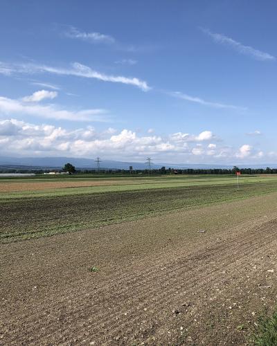 A wide landscape view of flat, cultivated agricultural fields under a blue sky with scattered clouds, featuring a dirt path in the foreground and distant hills.