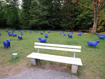 Bad Ragaz, Switzerland - panoramio (8)