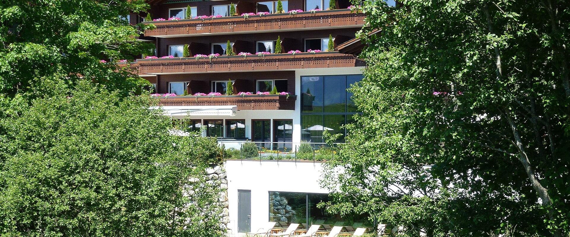 Wellness and Spa