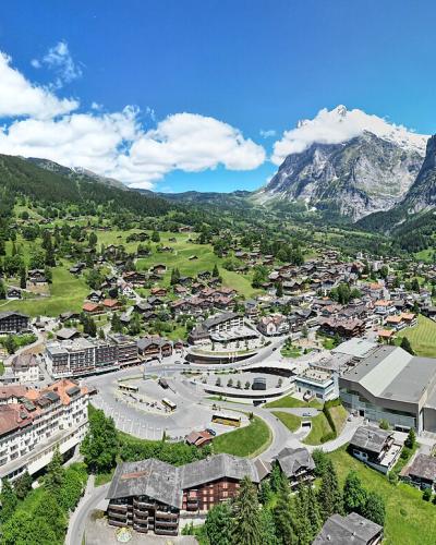 Aerial view of Grindelwald's chalets in the green valley below the mountains