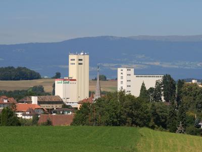 Düdingen