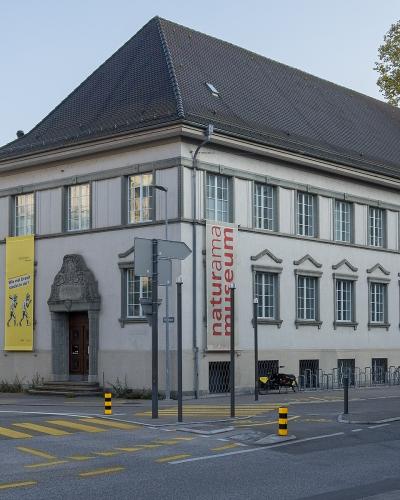 A street-level view of a large, light-colored building with a dark gabled roof, featuring a prominent vertical red banner reading "naturama museum" and a yellow exhibition banner on the facade, situated at a street corner with a crosswalk and parked 