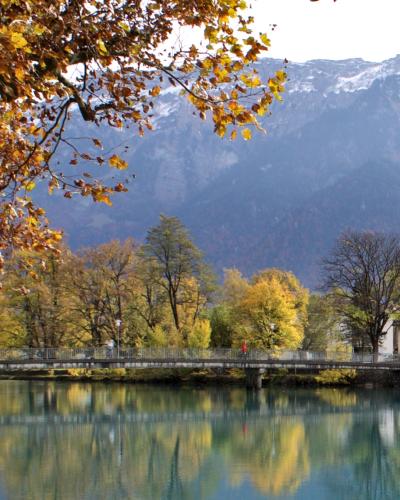 Autumn trees line an Aare river bridge in Interlaken beneath snow-dusted Bernese Alps