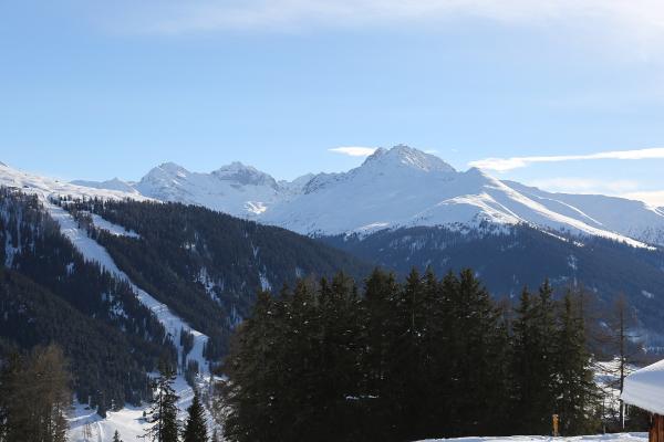 Rinerhorn (ski Zone)