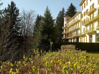 A large, multi-story white hotel building with balconies and a small turret, situated next to a dense forest of evergreen trees, viewed from behind a foreground of green bushes.