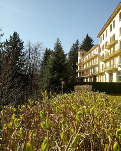 A large, multi-story white hotel building with balconies and a small turret, situated next to a dense forest of evergreen trees, viewed from behind a foreground of green bushes.