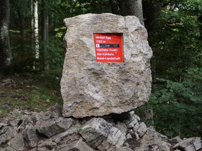 A large, rough-hewn stone marker set in a forest clearing, featuring a red plaque with white text reading "Hinteri Egg 1169 m" and "Höchster Punkt des Kantons Basel-Landschaft".