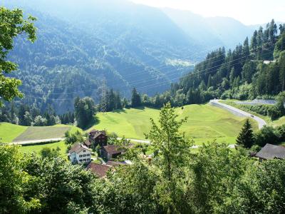 A scenic view of a small cluster of traditional houses and farm buildings nestled in a green alpine valley, with a winding road, forested slopes, and high-voltage power lines visible in the background.