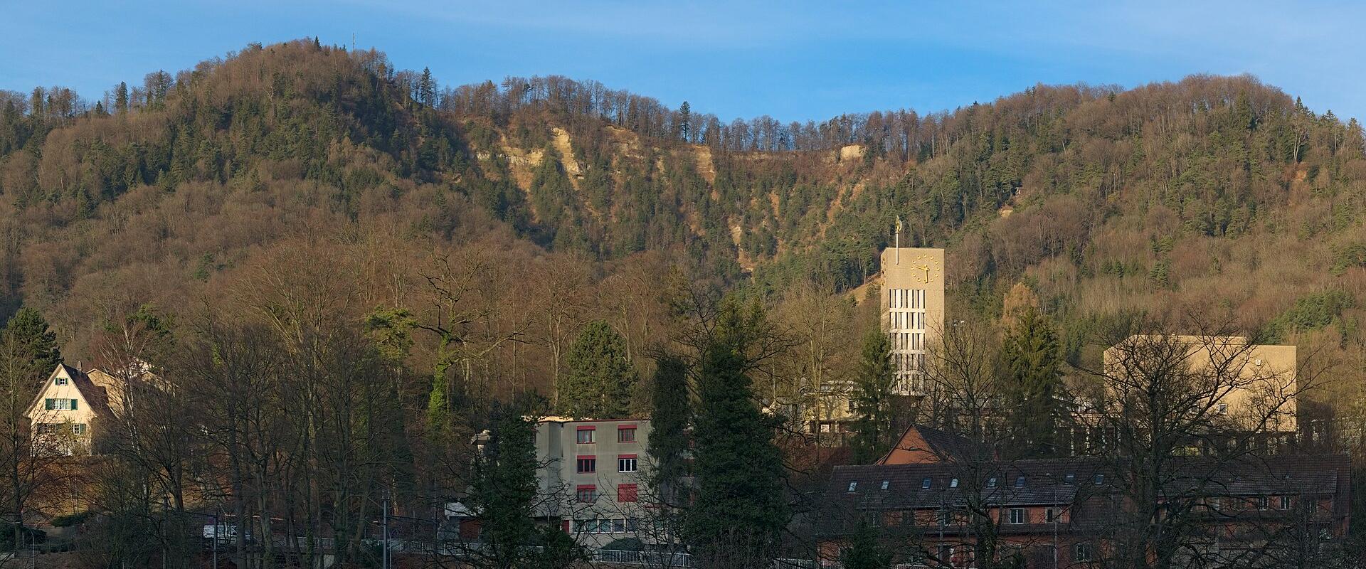 The eroded slopes of the Fallätsche on the Uetliberg