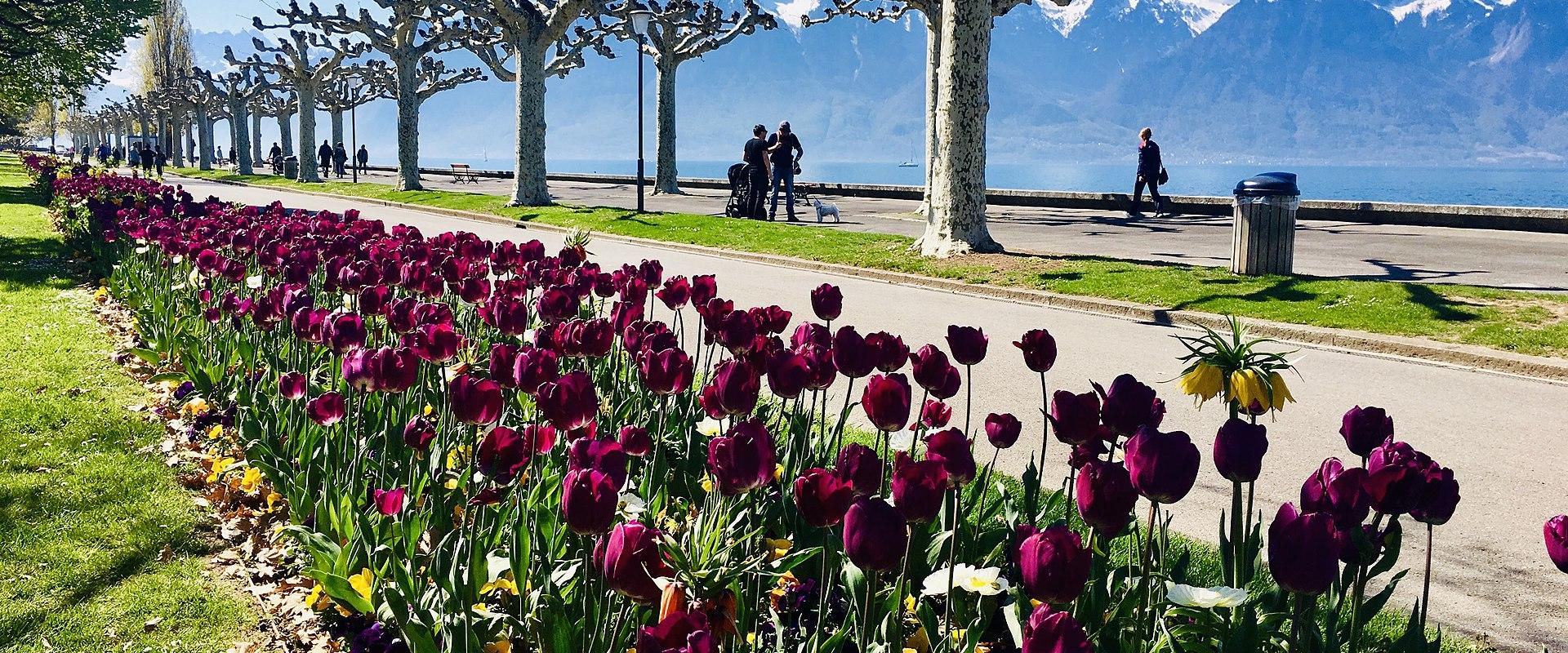 Lake Geneva Promenade
