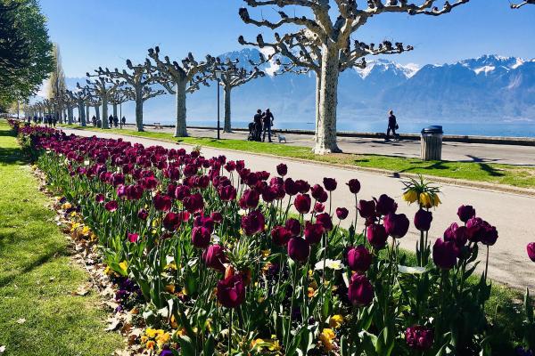 Lake Geneva Promenade