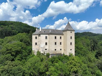 A beige, multi-story castle with a prominent conical-roofed tower stands amidst dense green forest under a blue sky with white clouds.