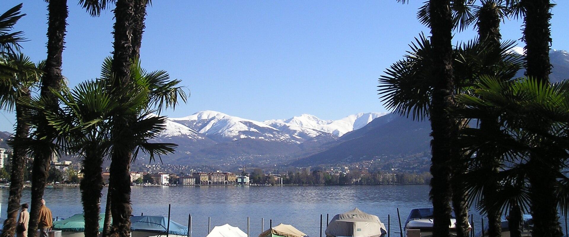 Palms on Lugano's lakeside promenade with snow-capped peaks beyond