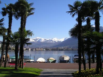 Palms on Lugano's lakeside promenade with snow-capped peaks beyond