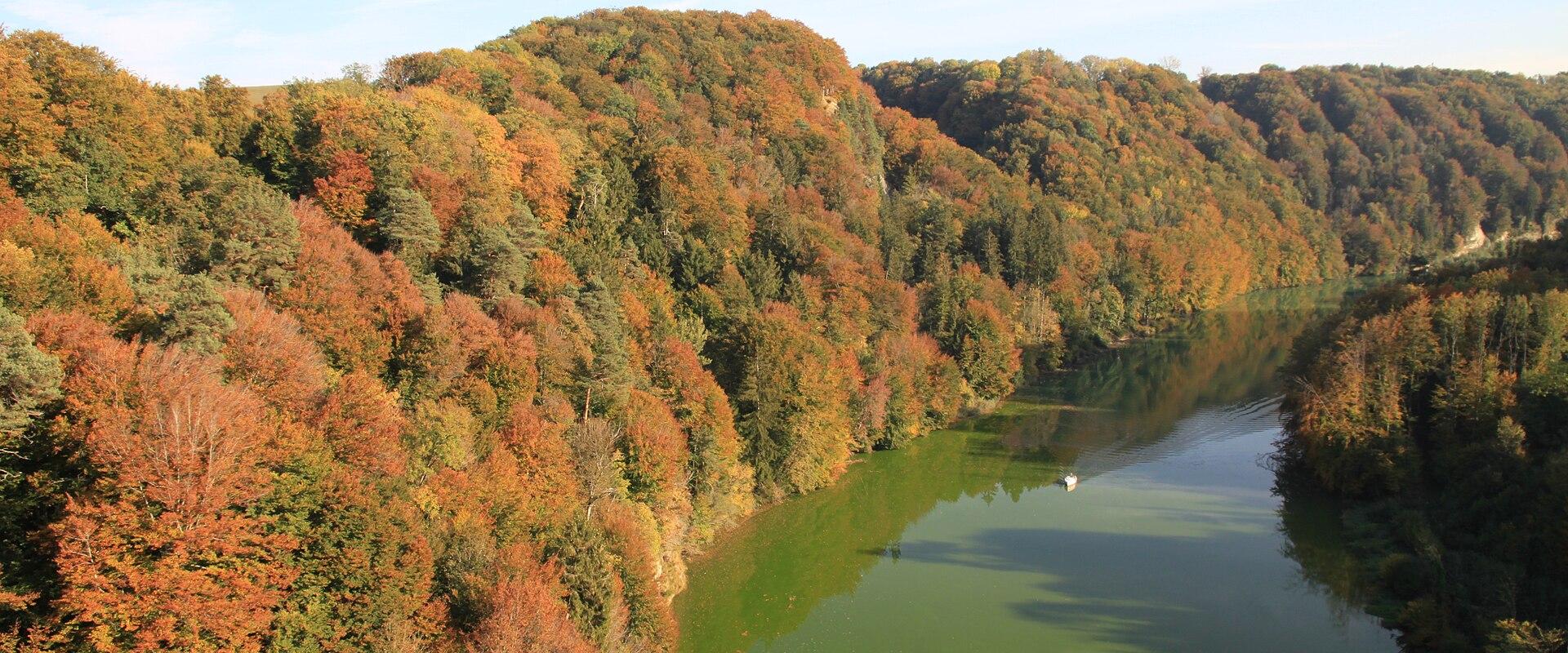 The Schiffenensee winding through autumn woods