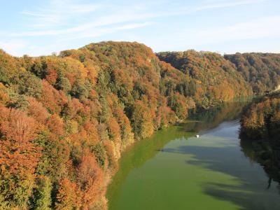 The Schiffenensee winding through autumn woods