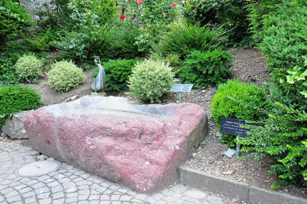 Rose Gardens In Rapperswil