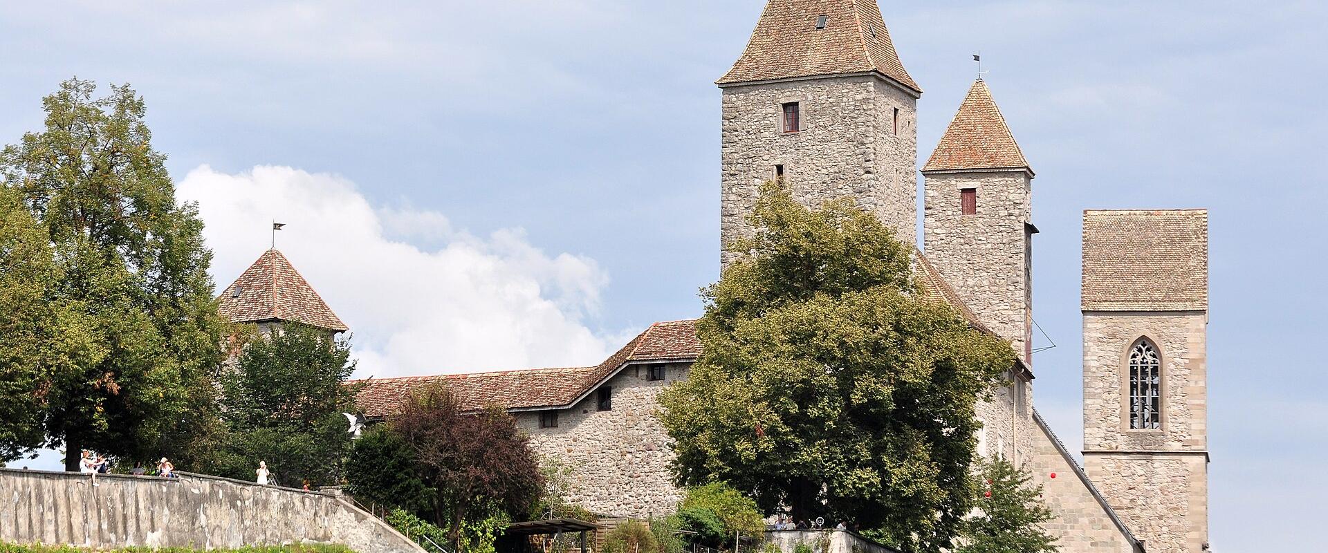 The image shows the stone towers and walls of Rapperswil Castle (Schloss Rapperswil) situated on a hill, with green vineyards visible on the slope in the foreground.