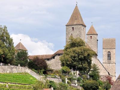 The image shows the stone towers and walls of Rapperswil Castle (Schloss Rapperswil) situated on a hill, with green vineyards visible on the slope in the foreground.