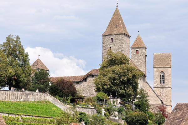 Vineyards Of Rapperswil-Jona