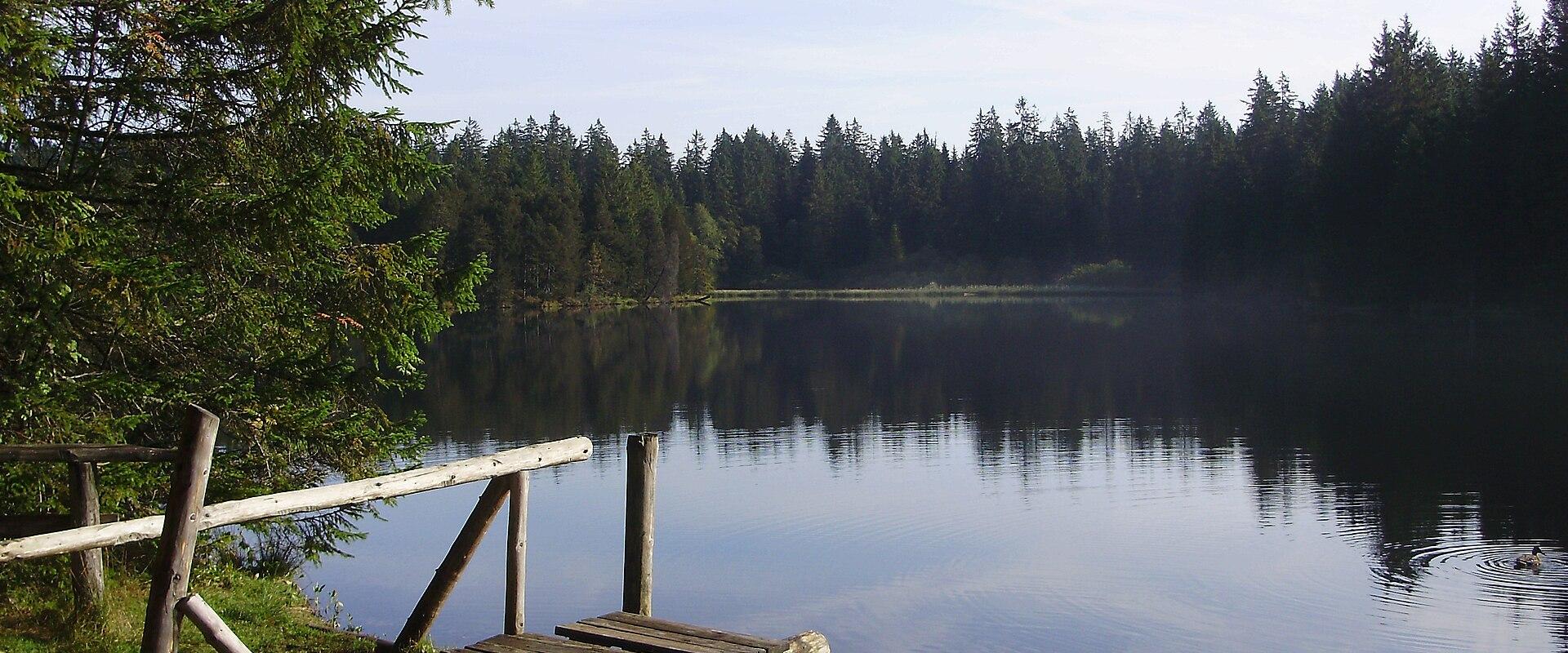 A calm lake surrounded by coniferous forest with a wooden dock and railing in the foreground.