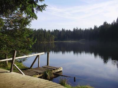 A calm lake surrounded by coniferous forest with a wooden dock and railing in the foreground.