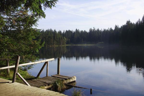 Etang De La Gruère