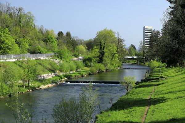 View Of The Wiese River