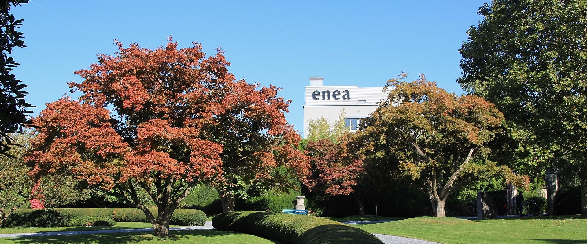 Enea Tree Museum
