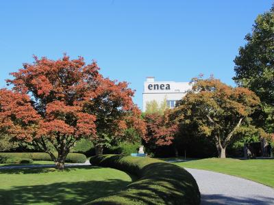 A landscaped park with manicured lawns, gravel paths, sculpted hedges, and trees showing autumn foliage, with a white building in the background displaying the word "enea" in large letters.