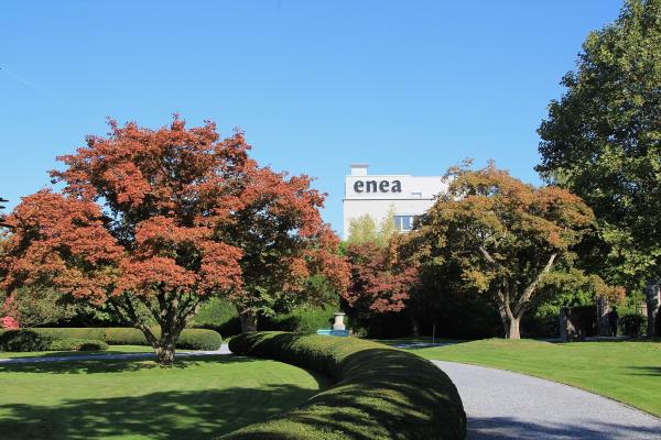 Enea Tree Museum