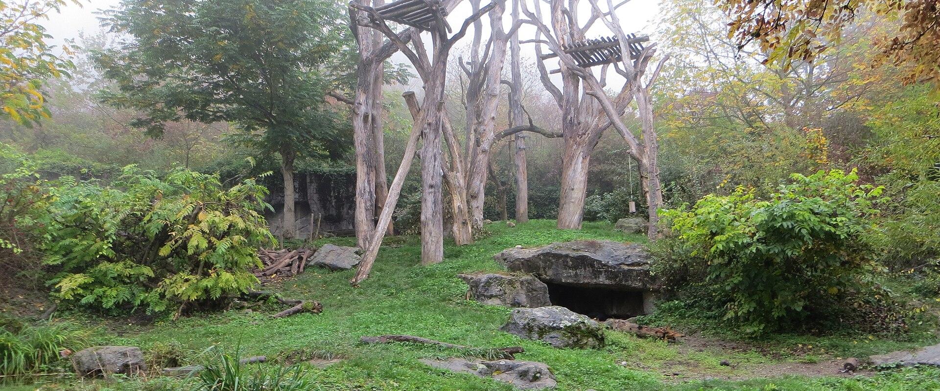 Cloud forest enclosure at Zürich Zoo