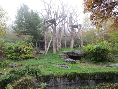Cloud forest enclosure at Zürich Zoo