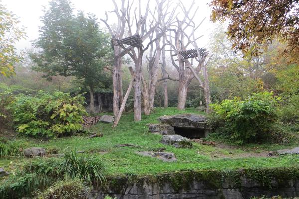 Zurich Zoo