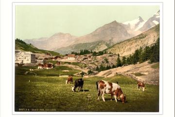 Saas-Fee