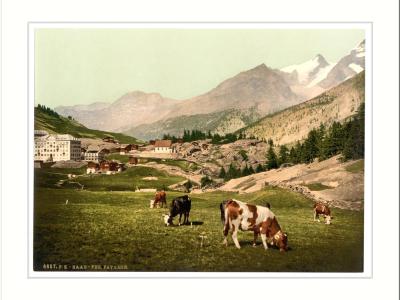 Saas-Fee