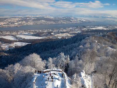 The view from Uto Kulm over the snowy Uetliberg woods and Lake Zurich