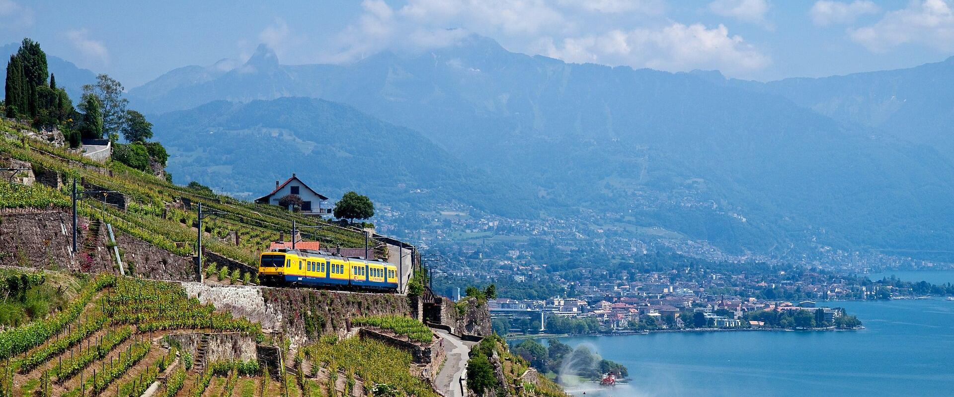 Vineyards Of Montreux