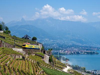 A yellow and blue train travels along a track through terraced vineyards on a steep hillside overlooking a large lake with mountains in the background.