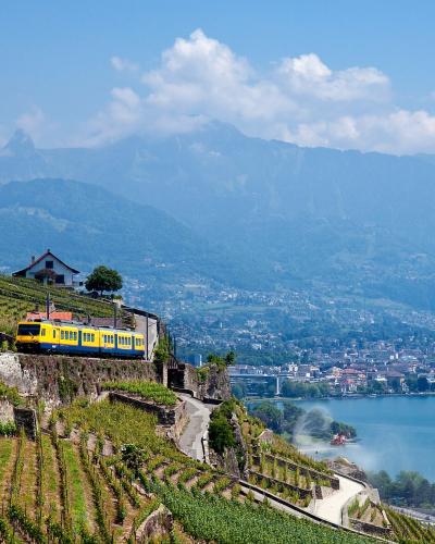 A yellow and blue train travels along a track through terraced vineyards on a steep hillside overlooking a large lake with mountains in the background.