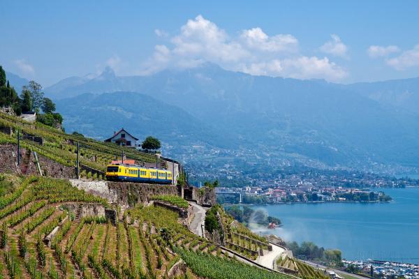 Vineyards Of Montreux