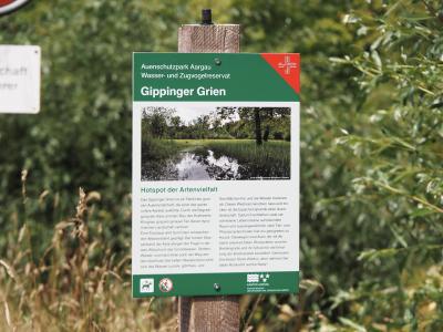 Tafel Gippinger Grien (Auenschutzpark Aargau)