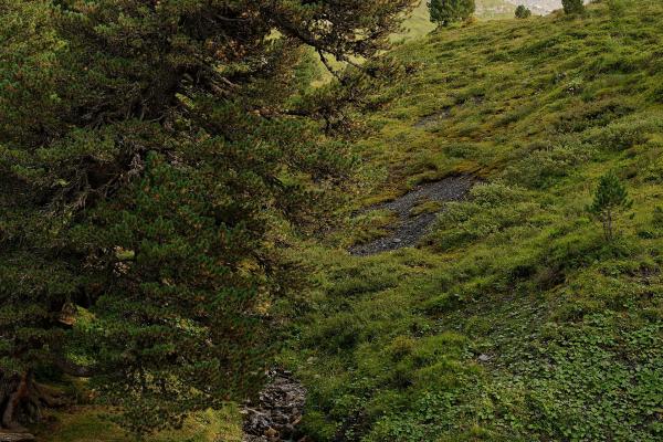 Eiger Trail