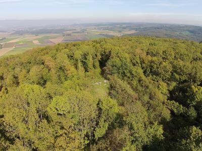 A high-angle view of a densely forested hilltop with a small clearing, overlooking a vast expanse of agricultural fields and distant hills under a hazy sky.