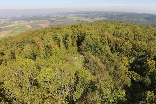 Jura Hills