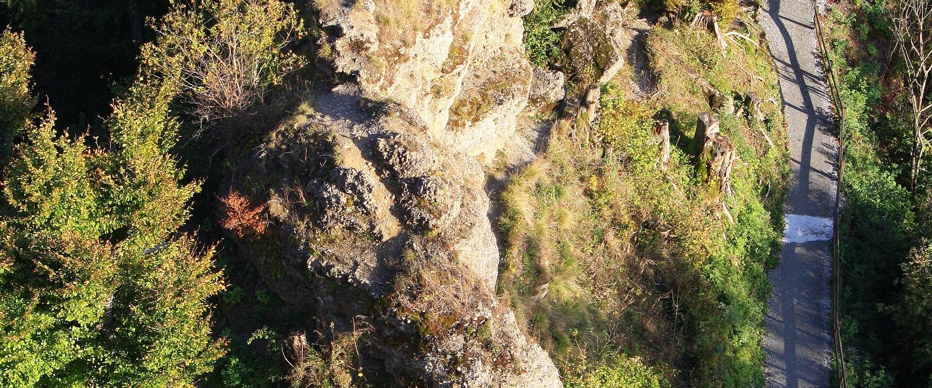 A high-angle view of a winding paved path with wooden railings descending through a dense forest, featuring a prominent, jagged rock formation in the center.